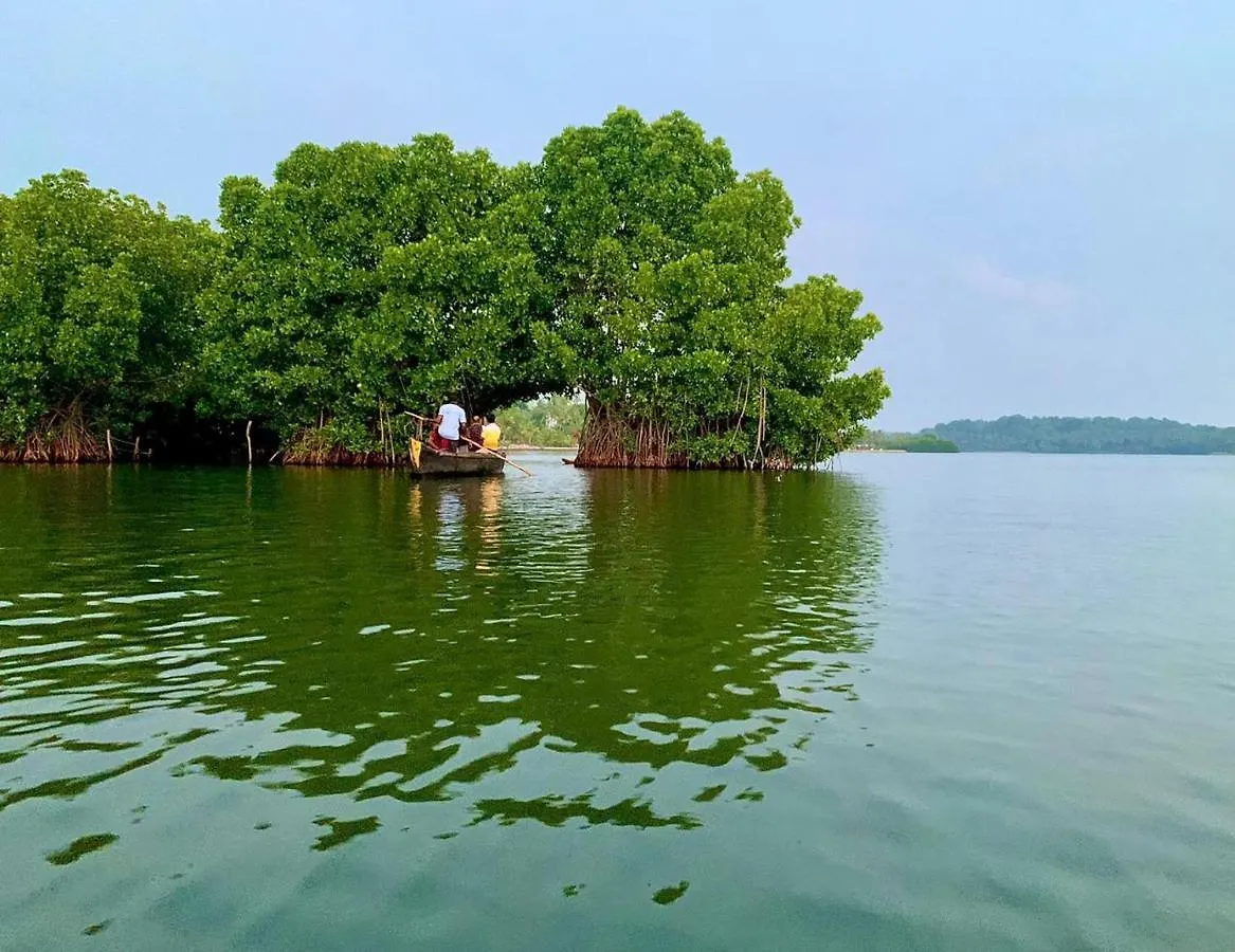 Mangrove Holidays Munroe Island Bed & Breakfast