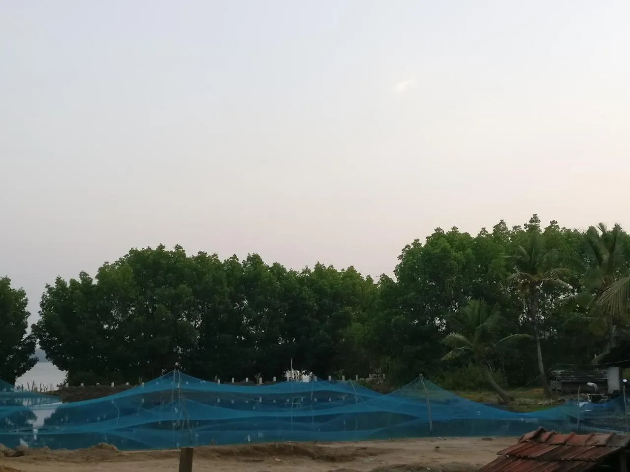 Mangrove Holidays Munroe Island