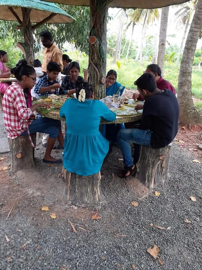 Mangrove Holidays Munroe Island Mundrothuruth